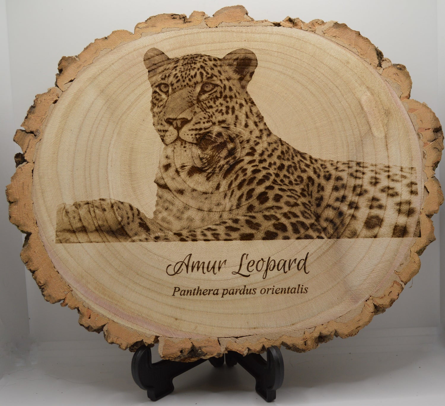 The Natural Selection