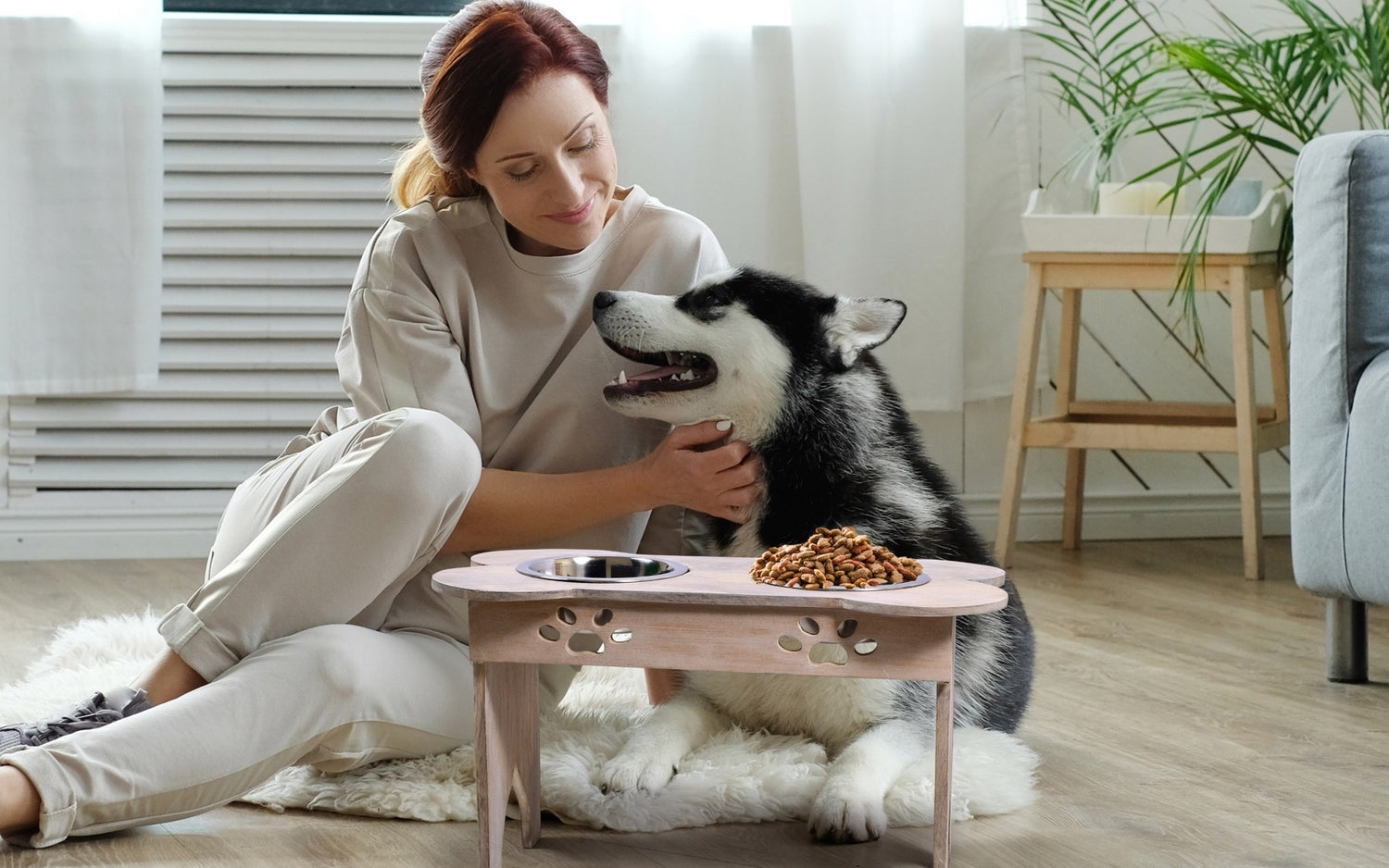 Doggy decor