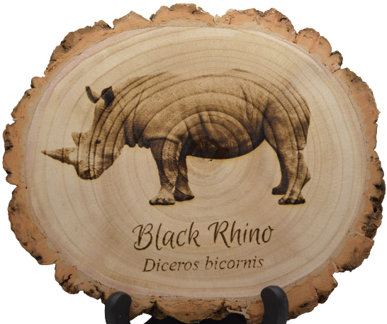Black Rhino