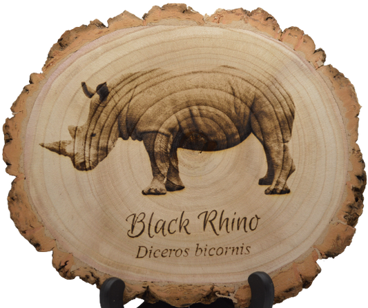 Black Rhino
